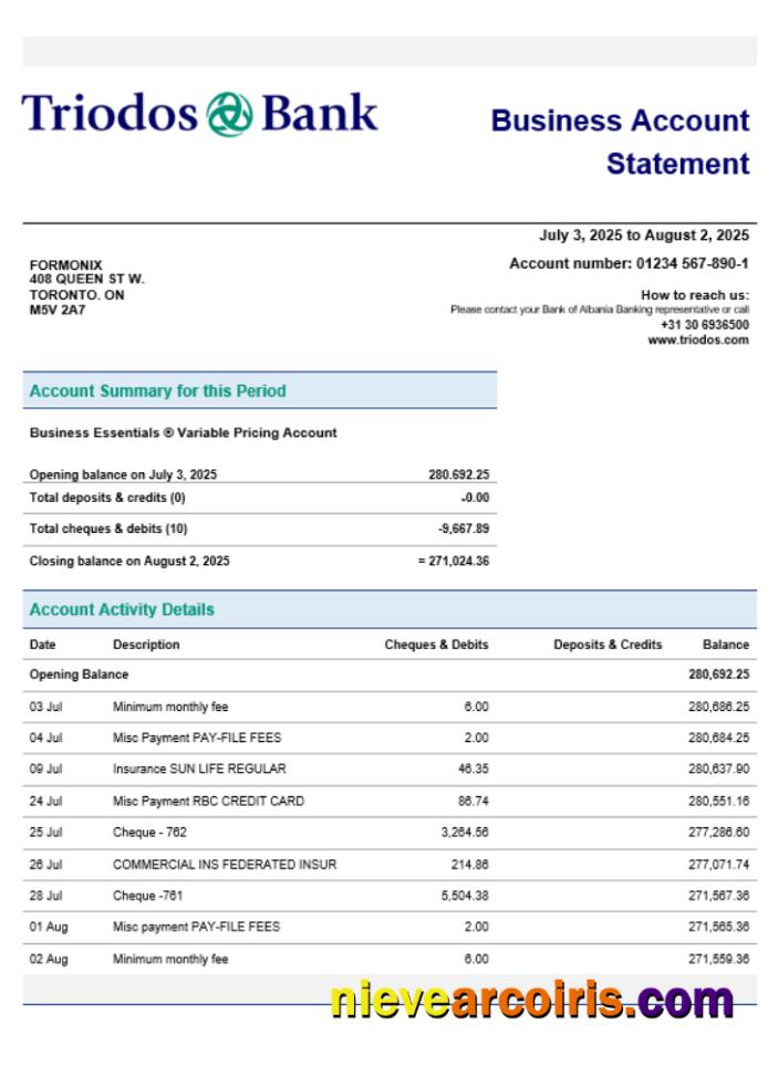 Triodos Bank business firm account statement Word snd PDF format 